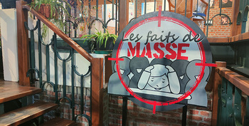 EXPO "Harcèlement scolaire" (Les Faits de Masse)